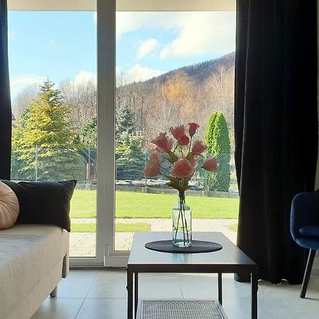 Apartamenty Nad Zylica Przy Deptaku - Dream Apart Szczyrk Eksteriør billede